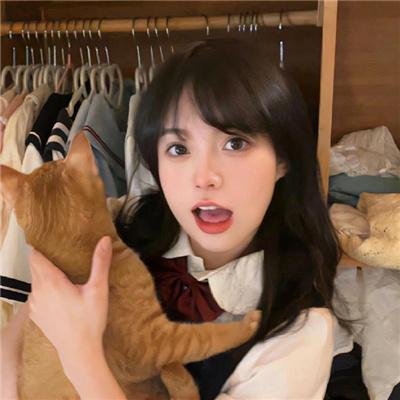 金龟子